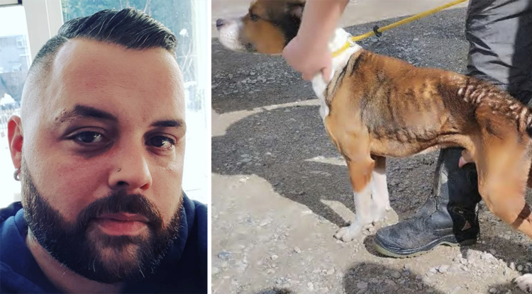 Man kept ‘incredibly malnourished’ dog in poo-ridden home