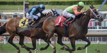 How to Handicap Horses for the Preakness Stakes 150: A Bettor’s Step-by-Step Playbook