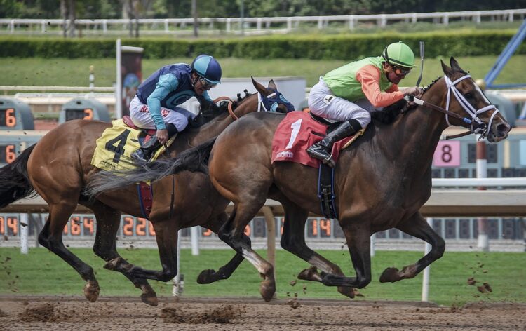 How to Handicap Horses for the Preakness Stakes 150: A Bettor’s Step-by-Step Playbook
