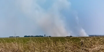 Risk of explosion prevents crews tackling Salisbury Plain fire