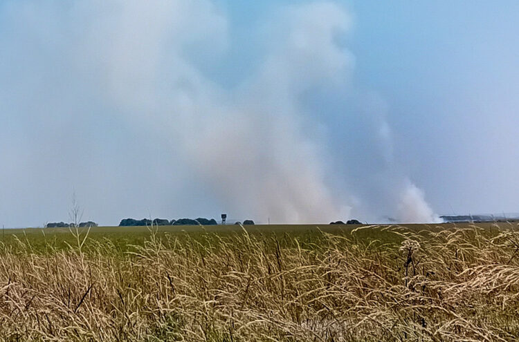 Risk of explosion prevents crews tackling Salisbury Plain fire