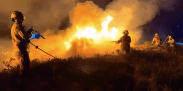 Wiltshire countryside at risk as fire service issues heatwave warning