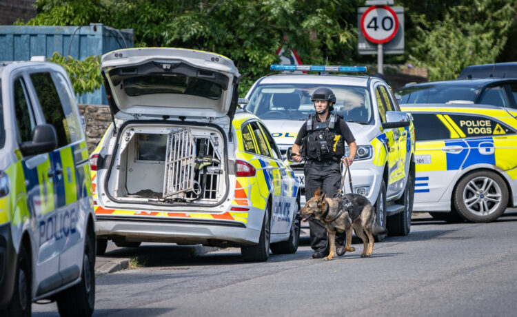 Armed police swarm house near Trowbridge with major road shut