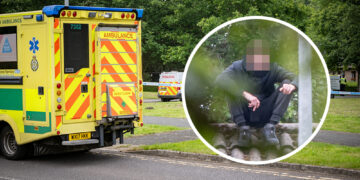 Patient on psychiatric hospital roof climbs onto residential house