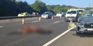 Horror scenes on M4 near Wiltshire as horse hit and killed in crash
