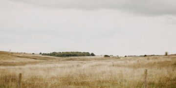 What It’s Like Studying in a Small UK County: Wiltshire’s Academic Culture