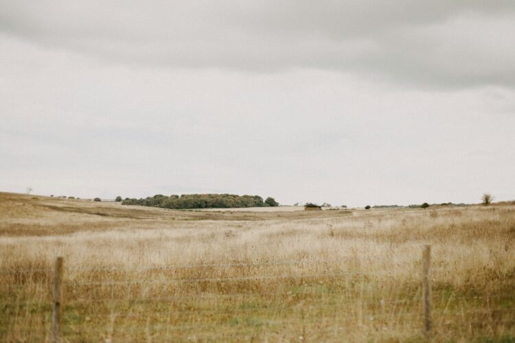 What It’s Like Studying in a Small UK County: Wiltshire’s Academic Culture