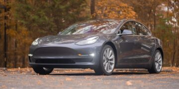 Tesla in woodland