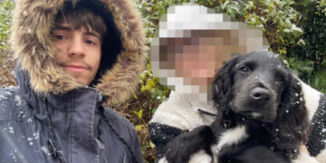 Chippenham man could be jailed for inflicting injuries on puppy