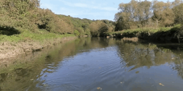 Children hospitalised after swimming in River Avon in Bristol