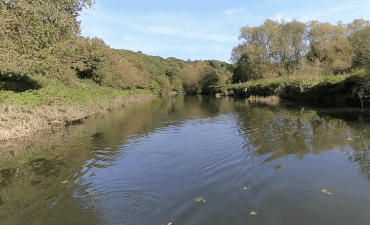 Children hospitalised after swimming in River Avon in Bristol