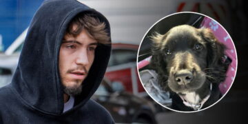 Man who killed ’emotional support’ puppy with kick avoids prison