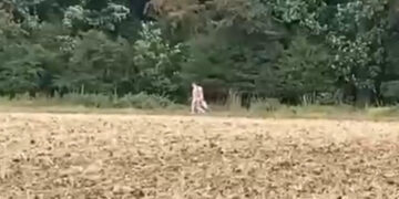 Naked men seen walking near Highworth spark debate over legality