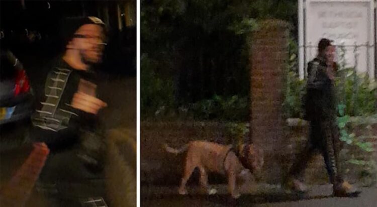 Dog attack in Trowbridge sparks police appeal for owner’s identity