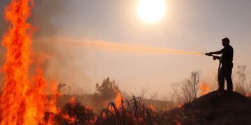 Firefighters still tackling Dorset heath blaze affecting 69 hectares