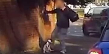 Man reported to police over treatment of dog in Chippenham
