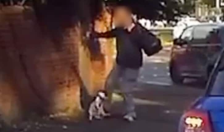 Man reported to police over treatment of dog in Chippenham