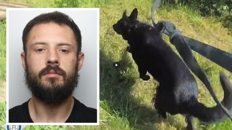 Daniel Kibblewhite who was caught by police dog Stan