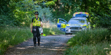 Dog walker discovers charred human remains in Wiltshire woods