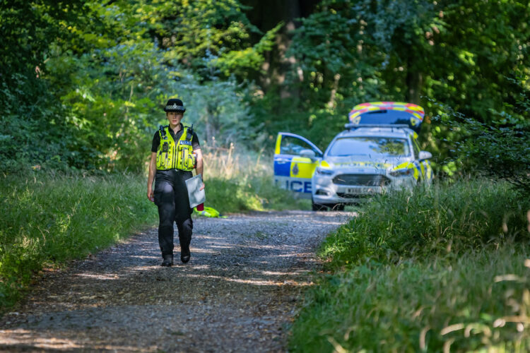 Dog walker discovers charred human remains in Wiltshire woods