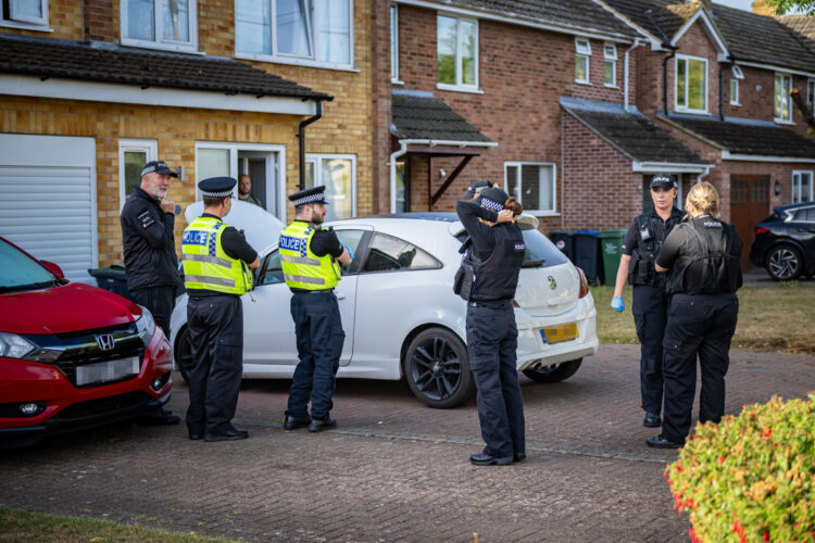 PICTURES: Arrest made after police raid two houses in Chippenham