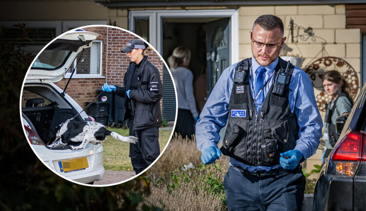 PICTURES: Arrest made after police raid two houses in Chippenham