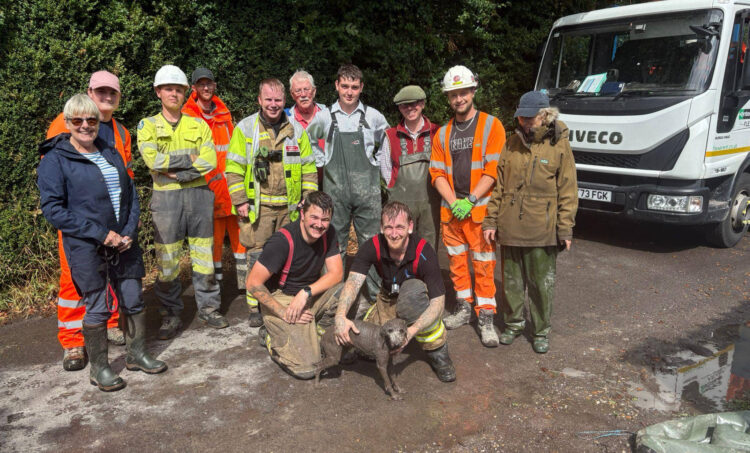 Firefighters help free trapped dog from drain tunnel in Westbury