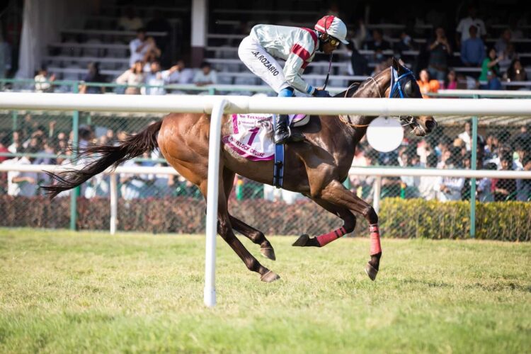 Horse Racing Events Near Wiltshire: What’s Coming This Season