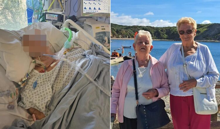 Woman run over by reversing van to have life support withdrawn