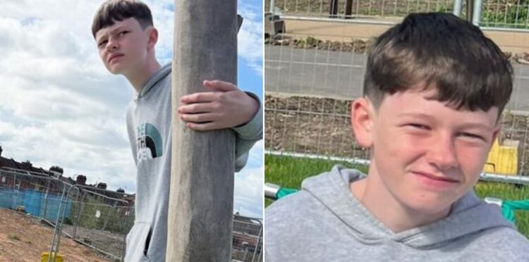 Missing Westbury boy, 14, ‘could in company of adult woman’