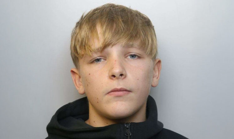 Devizes teen jailed over zombie knife killing has conviction quashed