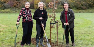 Eighty oaks planted at Swindon park to mark WWII anniversary