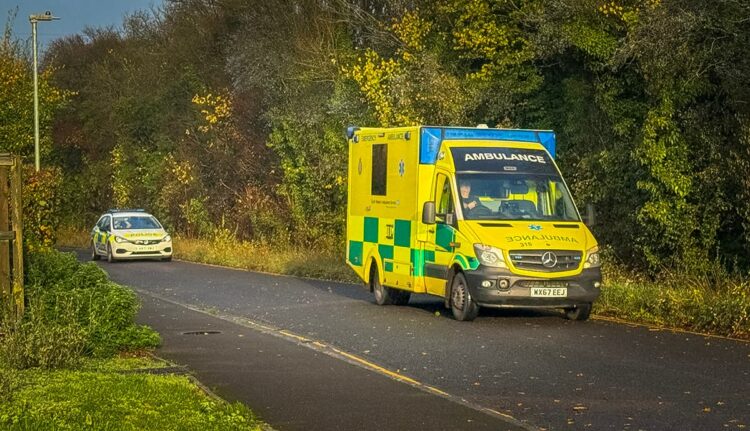 Person in distress on bridge sparks closure of Chippenham route