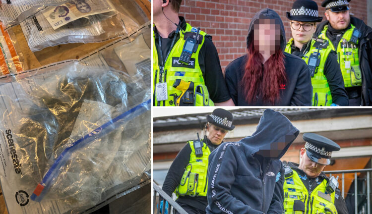 Man and woman arrested after police raid property in Trowbridge