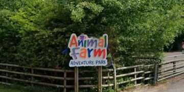 Horses and donkeys among animals killed in adventure park blaze