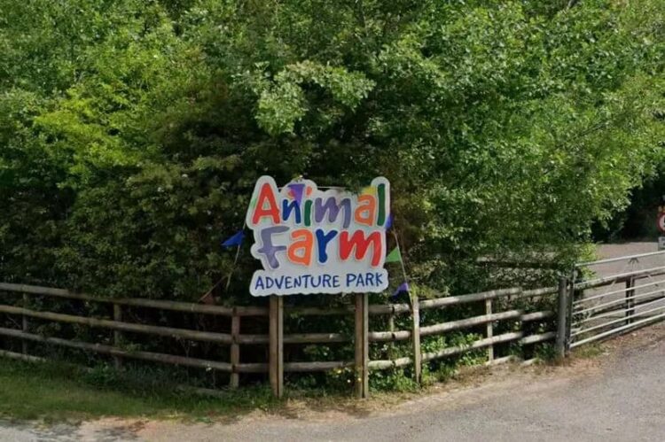 Horses and donkeys among animals killed in adventure park blaze