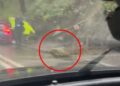 Wiltshire route partially blocked after boulder falls into carriageway
