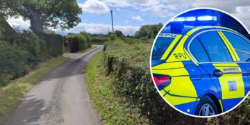 Horse and rider injured in hit-and-run crash near Trowbridge