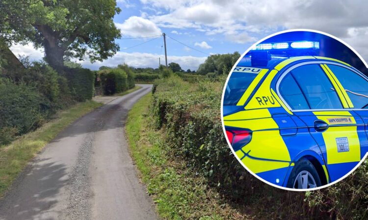 Horse and rider injured in hit-and-run crash near Trowbridge