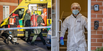 Christmas Day murder: Elderly woman dead and woman, 63, arrested