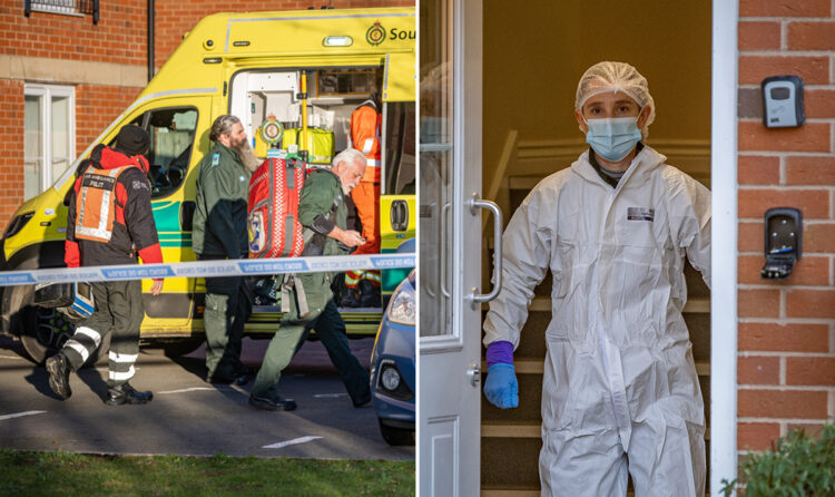 Christmas Day murder: Elderly woman dead and woman, 63, arrested