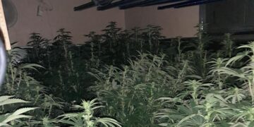 Five people arrested as Wiltshire Police uncover huge drug factory