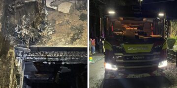 Cats, dogs and reptiles rescued from house fire near Marlborough