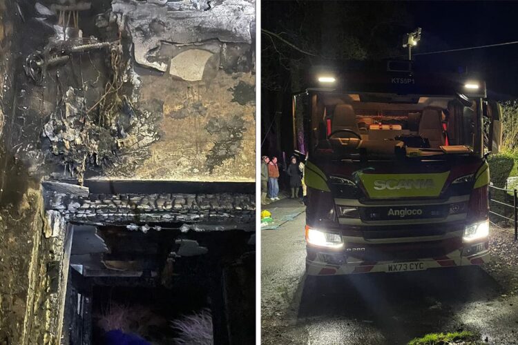 Cats, dogs and reptiles rescued from house fire near Marlborough