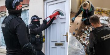 Three arrested as police seize illicit tobacco and vapes in Swindon
