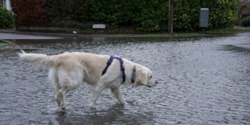 Met Office issues Storm Chandra weather warning for Wiltshire