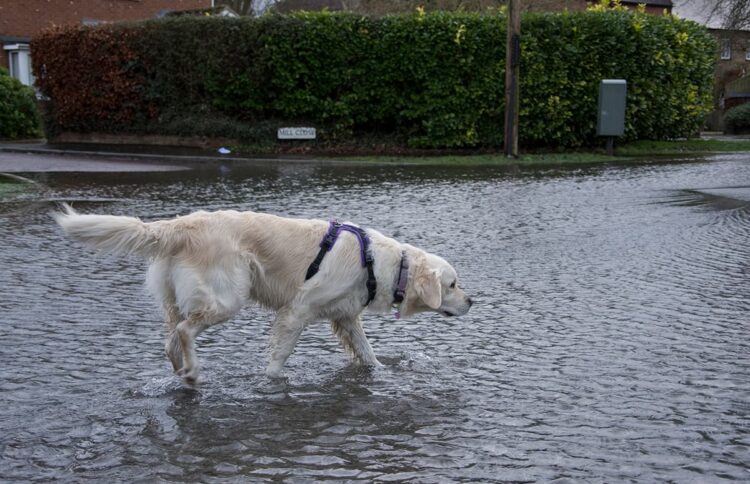 Met Office issues Storm Chandra weather warning for Wiltshire