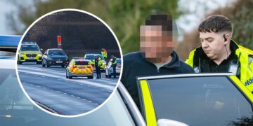 Man arrested in countryside after serious assault on M4 in Wiltshire