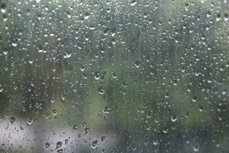 Met Office issues weather warning for Wiltshire ahead of heavy rain