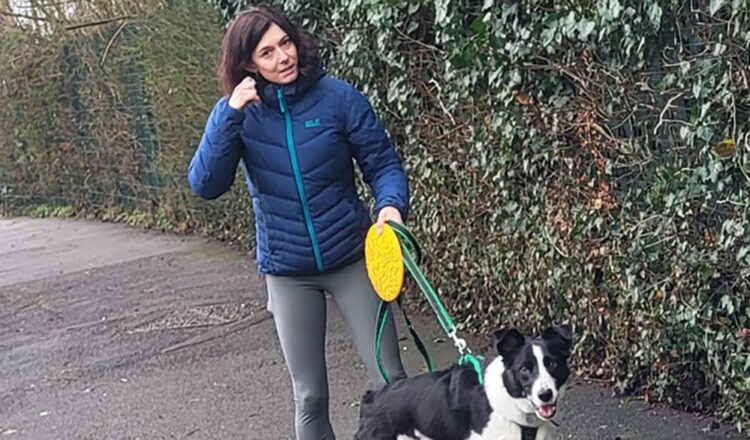 Dog attacks running woman near school in Swindon, police say